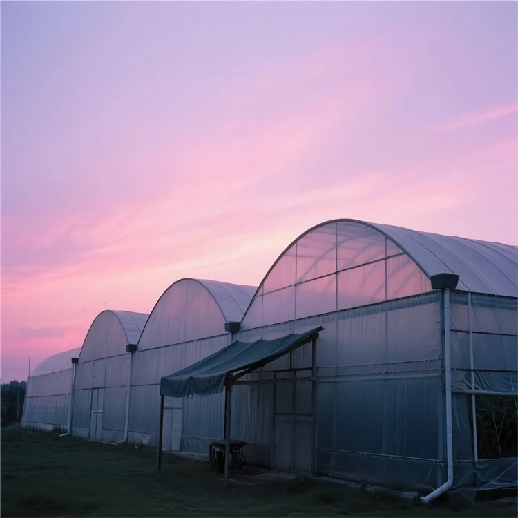 clear plastic uv resistant (7)